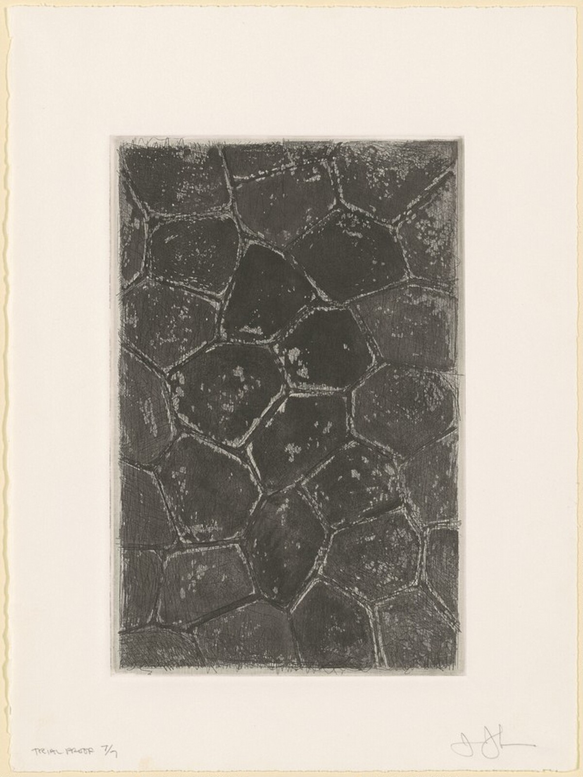 Flagstones (a) [trial proof 7] by Jasper Johns