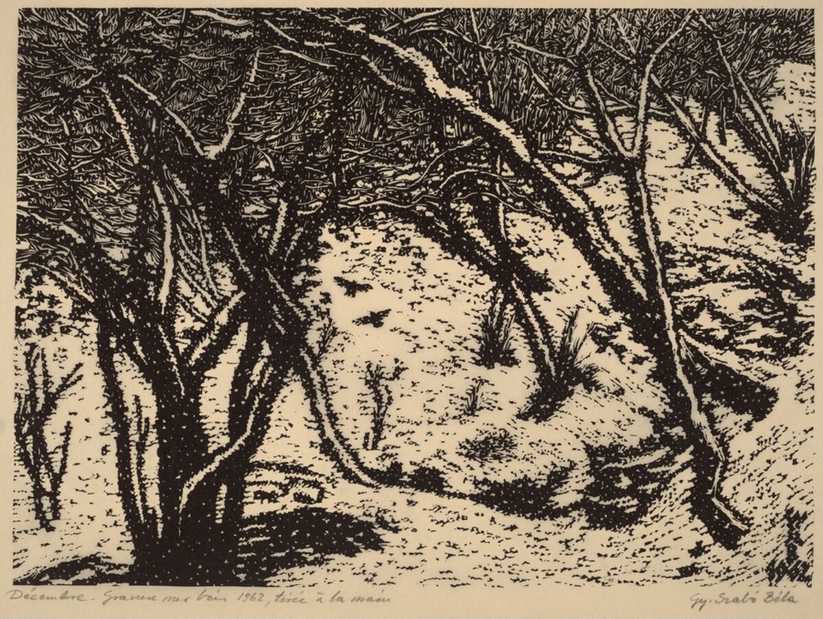 Decembre (December) by Gy Szabo Bela