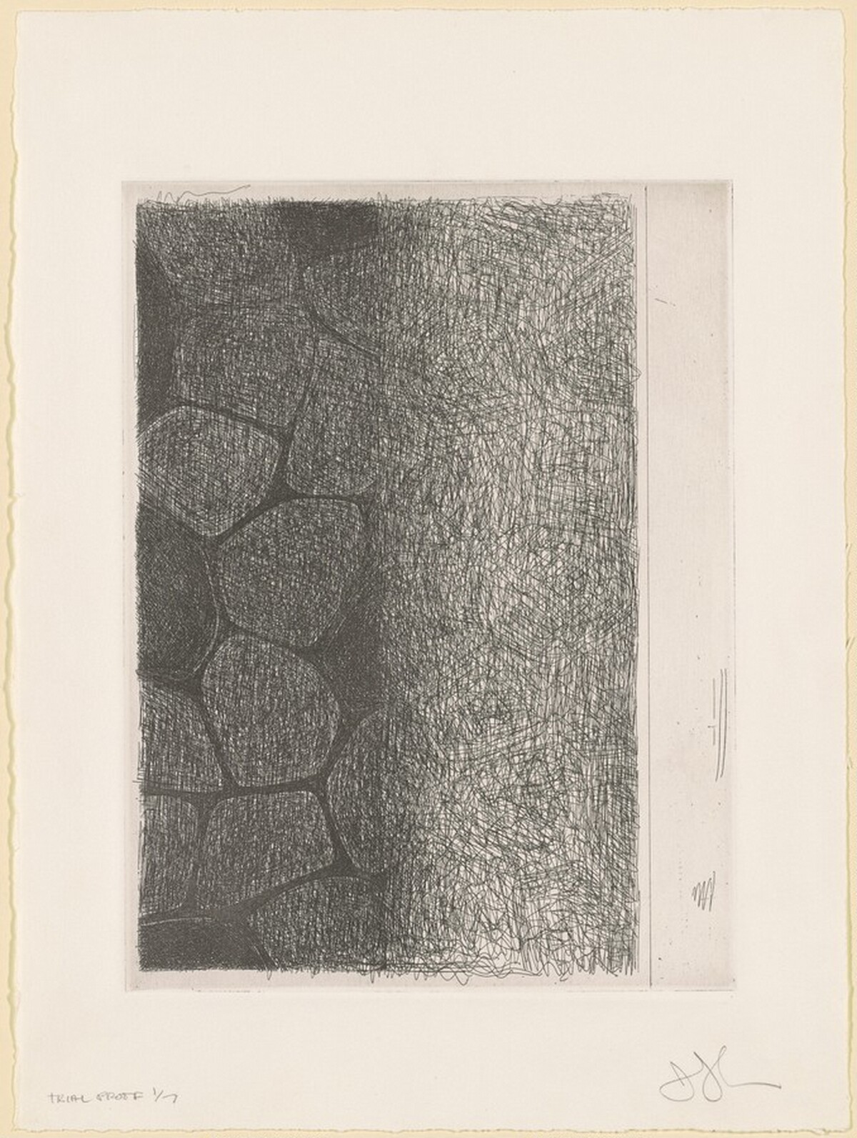 Flagstones (a) [trial proof 1] by Jasper Johns
