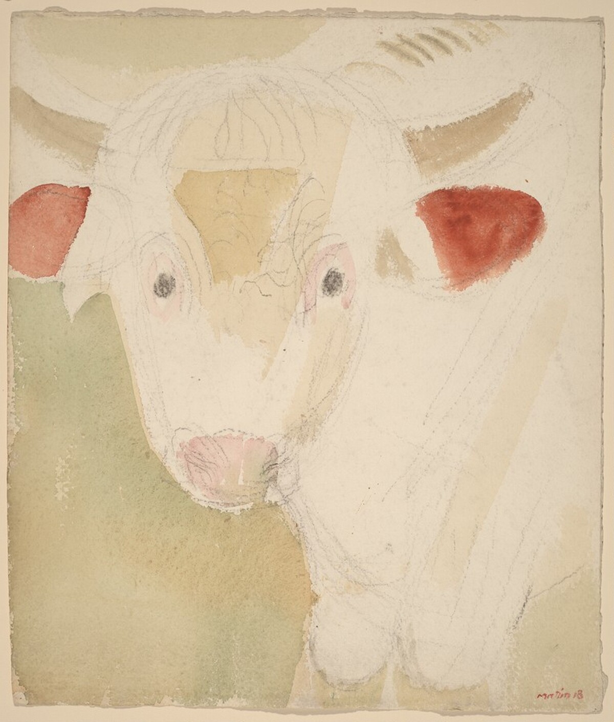 A Little Yearling, Ayrshire Bull, Rowe, Massachusetts by John Marin