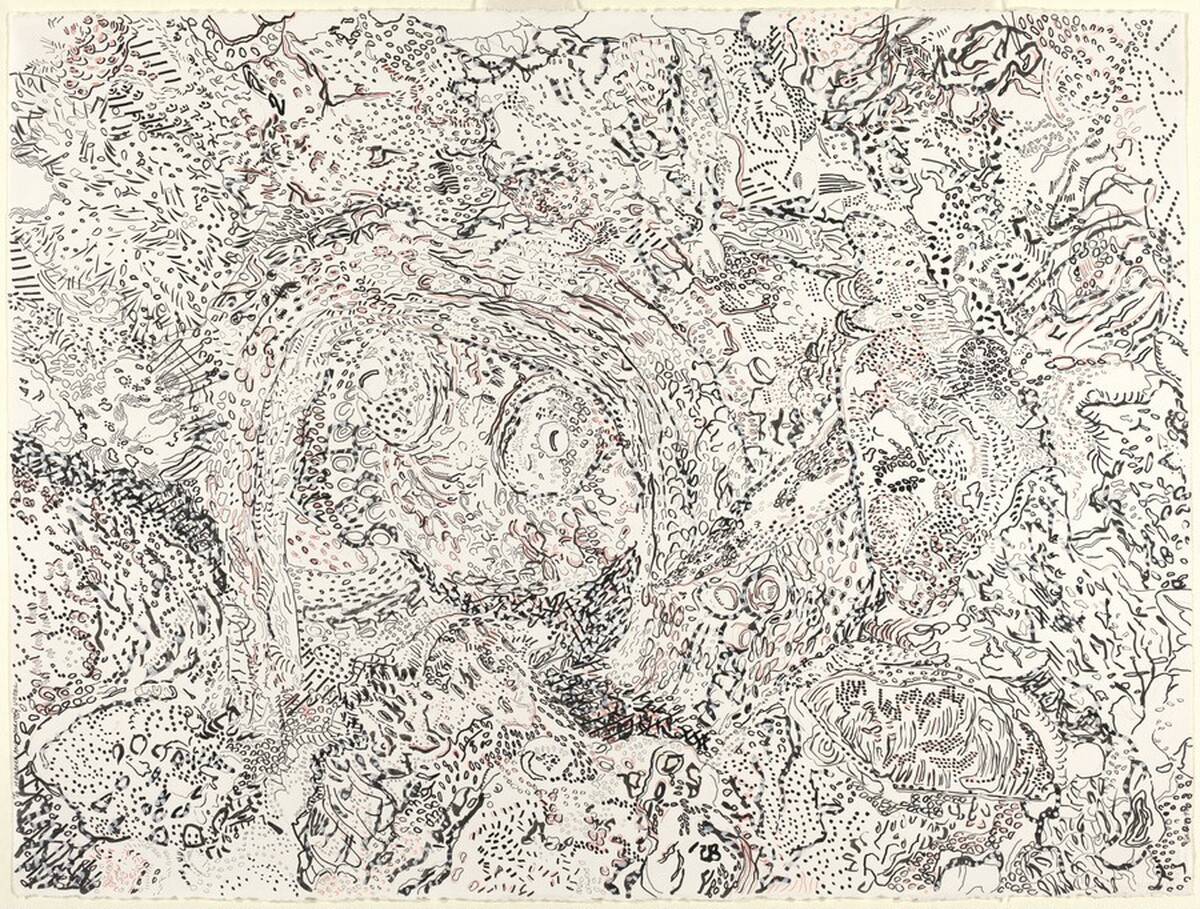 Study for Camouflage Series No. 3 by Nancy Graves