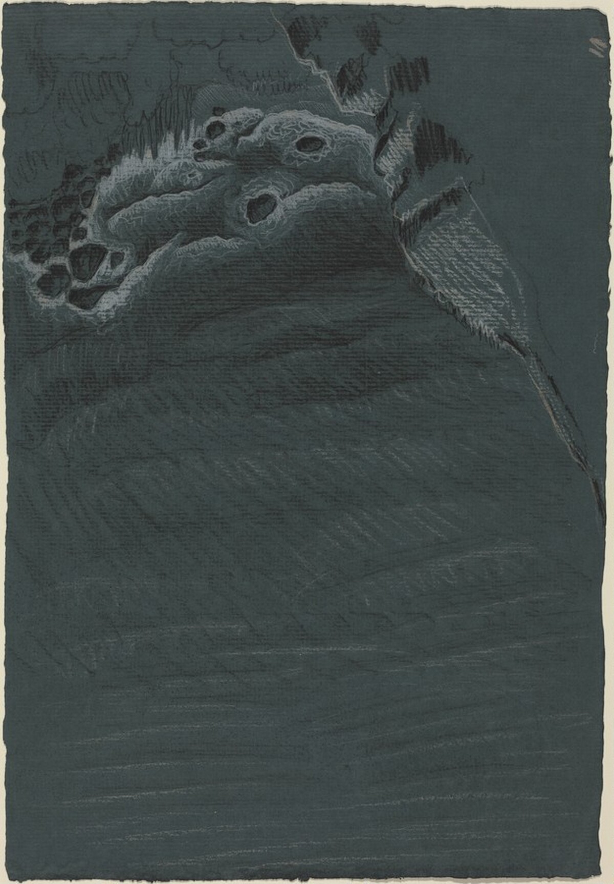 Green Sea by M.C. Escher