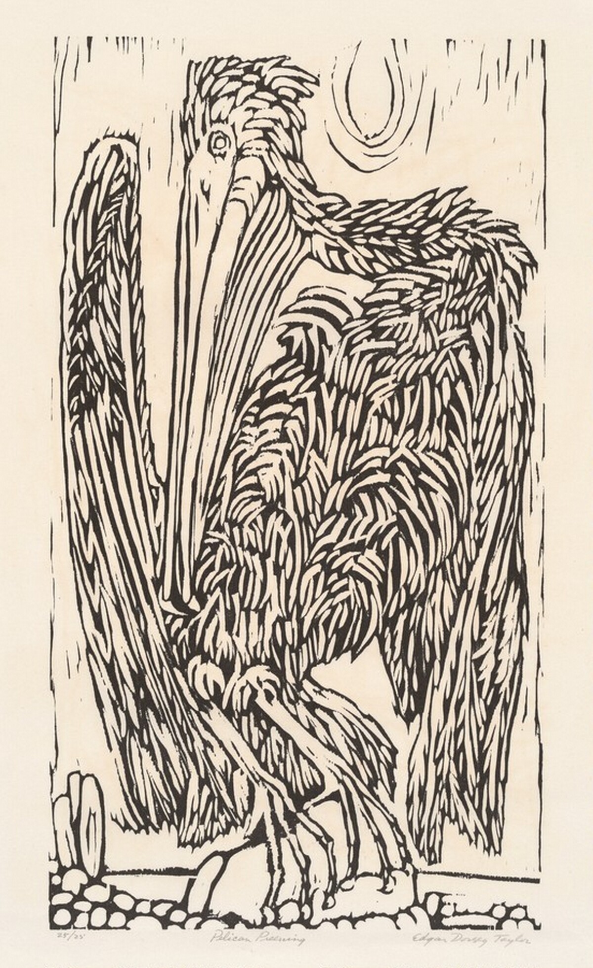 Pelican Preening by Edgar Dorsey Taylor