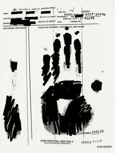 PALM AND FINGERS + FINGERTIPS, LEFT HAND 000052