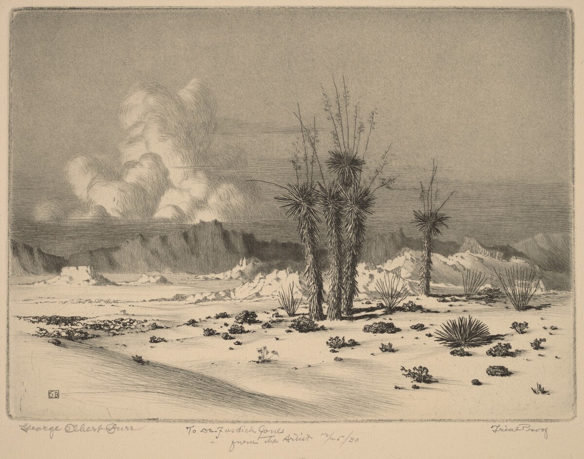 Evening, Arizona by George Elbert Burr