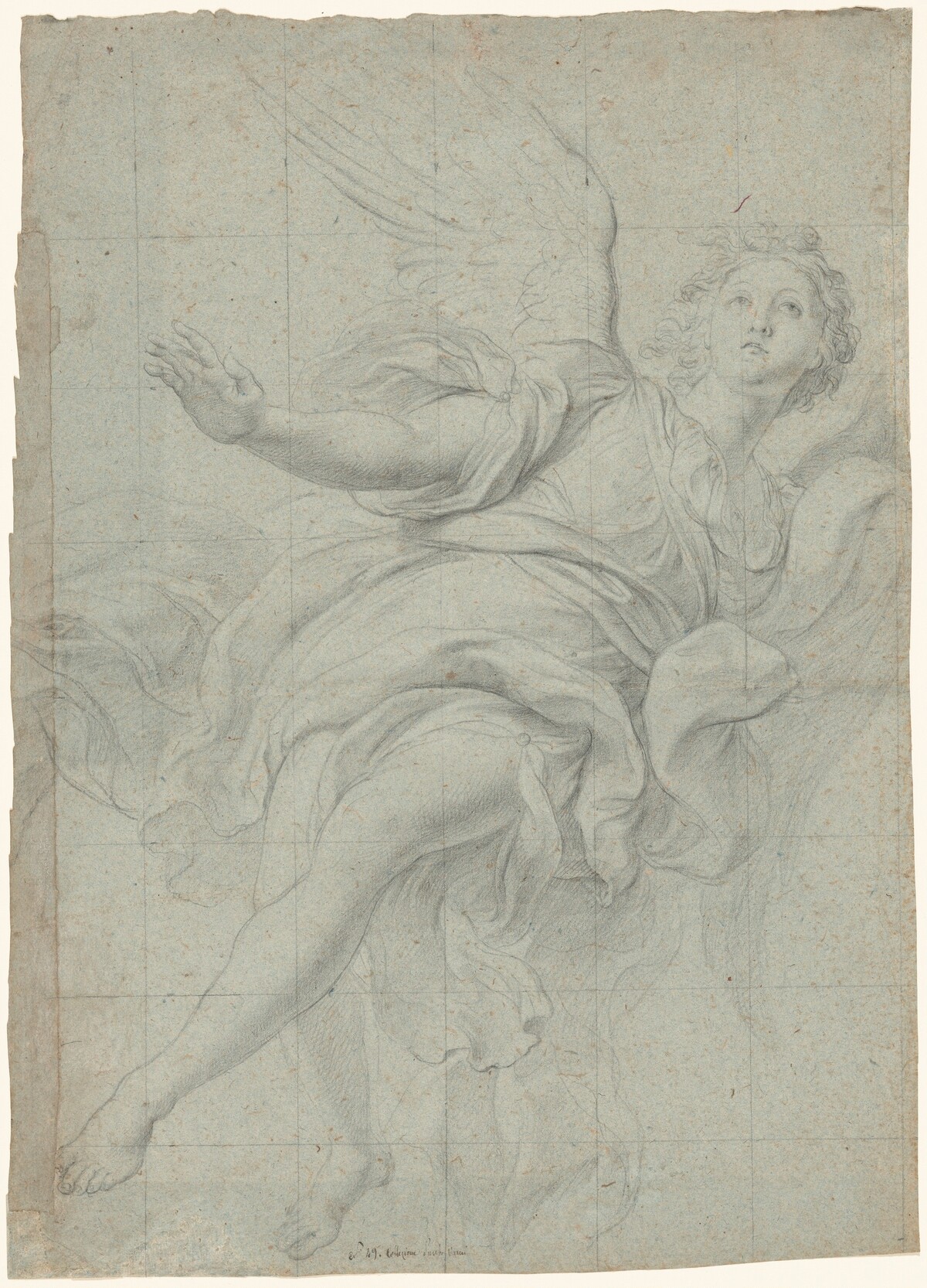 Study of an Angel in Flight by Lorenzo De Ferrari