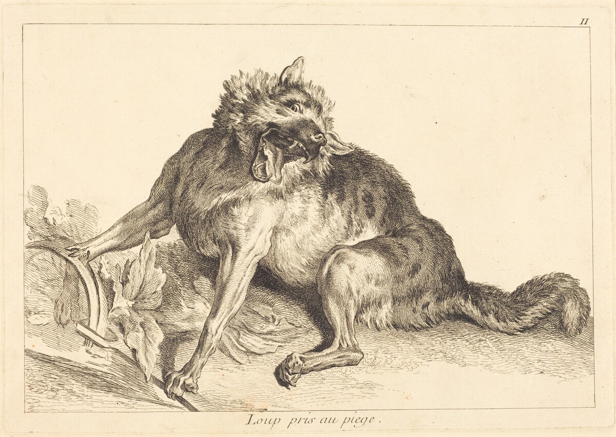 Loup pris au piege (Wolf Caught in a Trap) by Jacques-Philippe Le Bas and Jean Eric Rehn after Jean-Baptiste Oudry