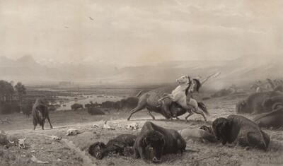 The Last of the Buffalo