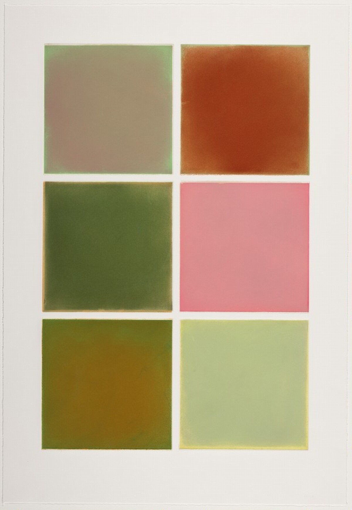 Kinnikinnick [working proof 16] by Anne Appleby