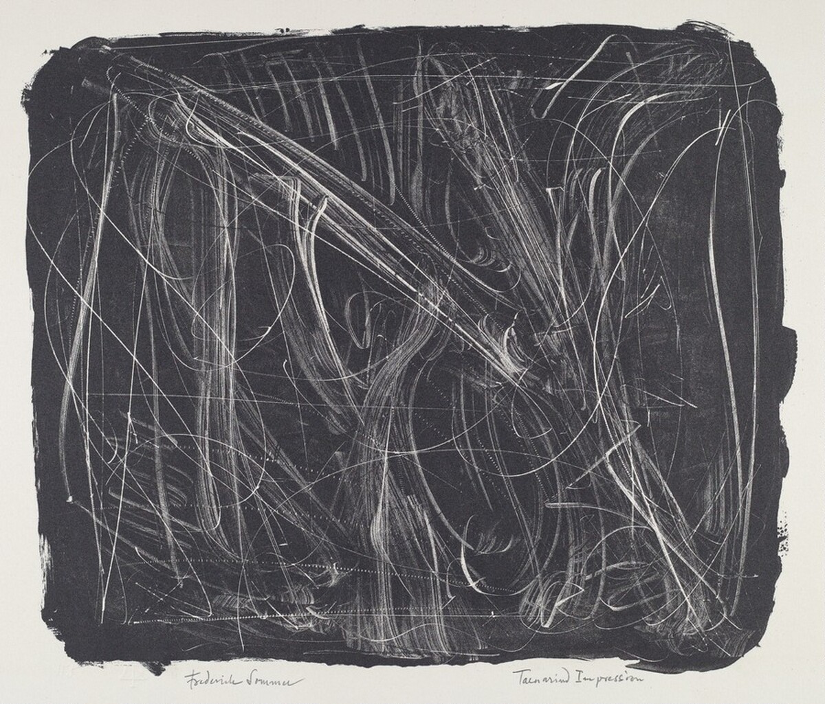 Untitled by Frederick Sommer