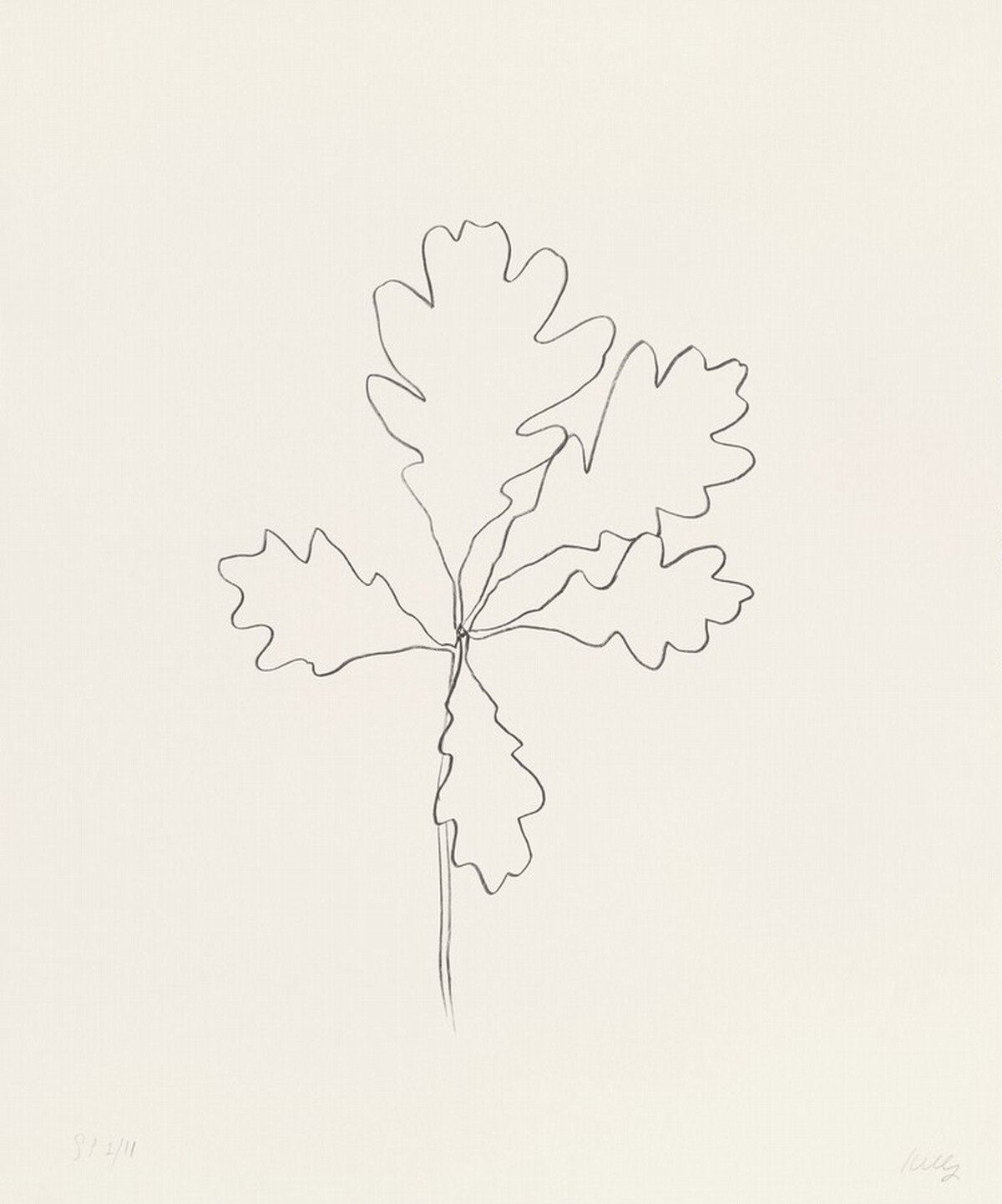 Oak by Ellsworth Kelly