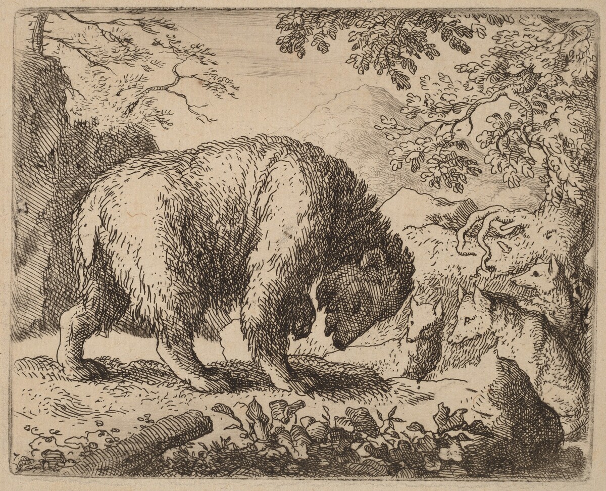 The Bear Distracted with Talk of Honey by Allart van Everdingen