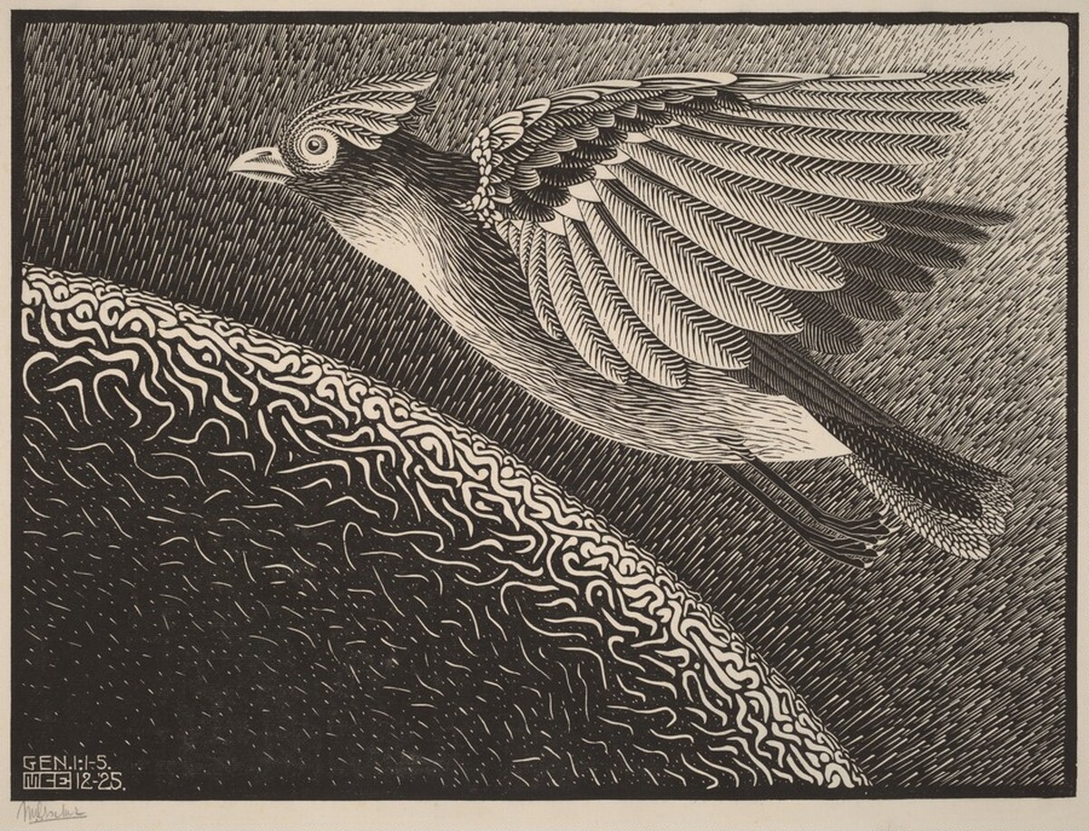 The First Day of the Creation by M.C. Escher