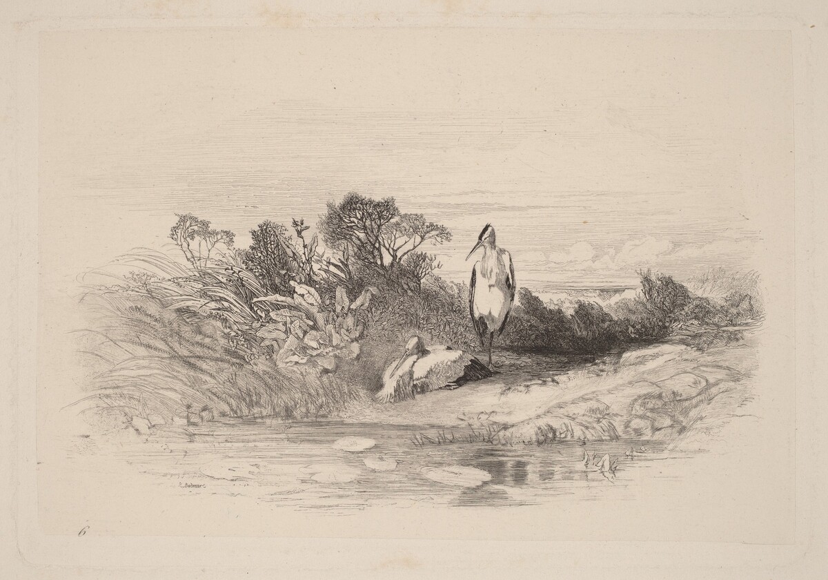 Les Deux Herons by Karl Bodmer