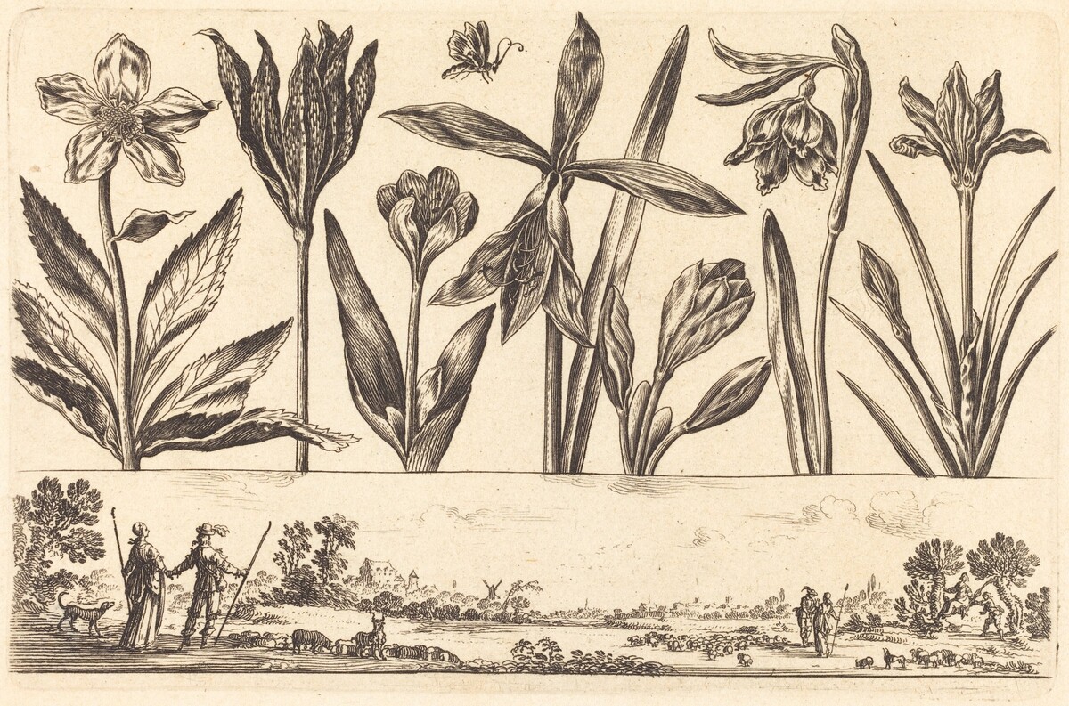 Flower Print no.4 by Nicolas Cochin after Balthasar Moncornet