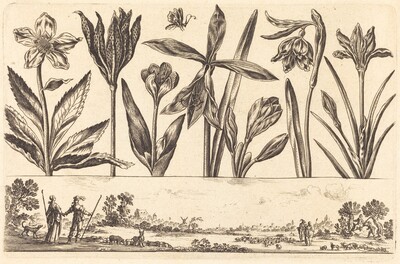 Flower Print no.4