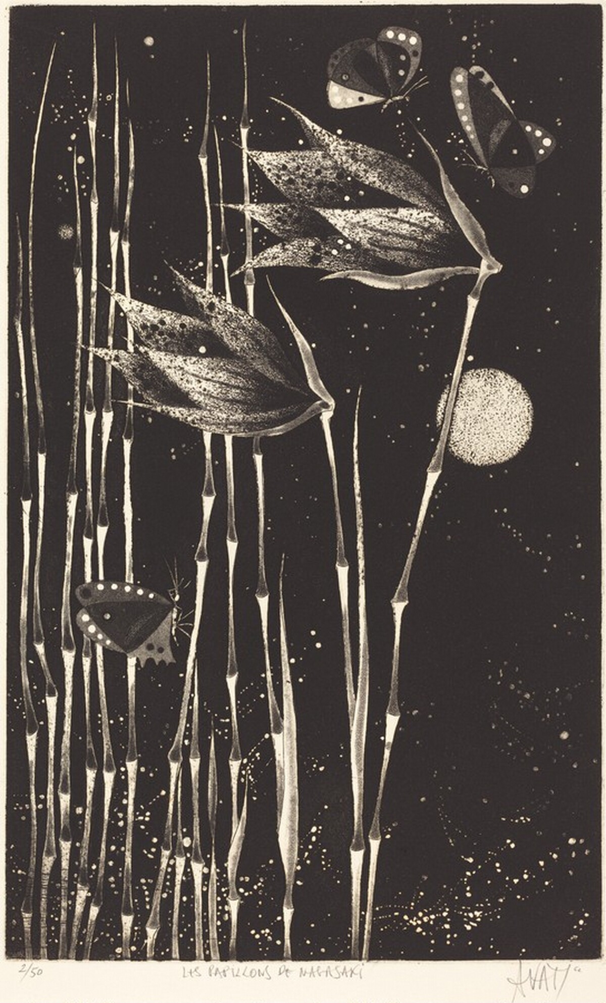 Les Papillons de Nagasaki by Mario Avati