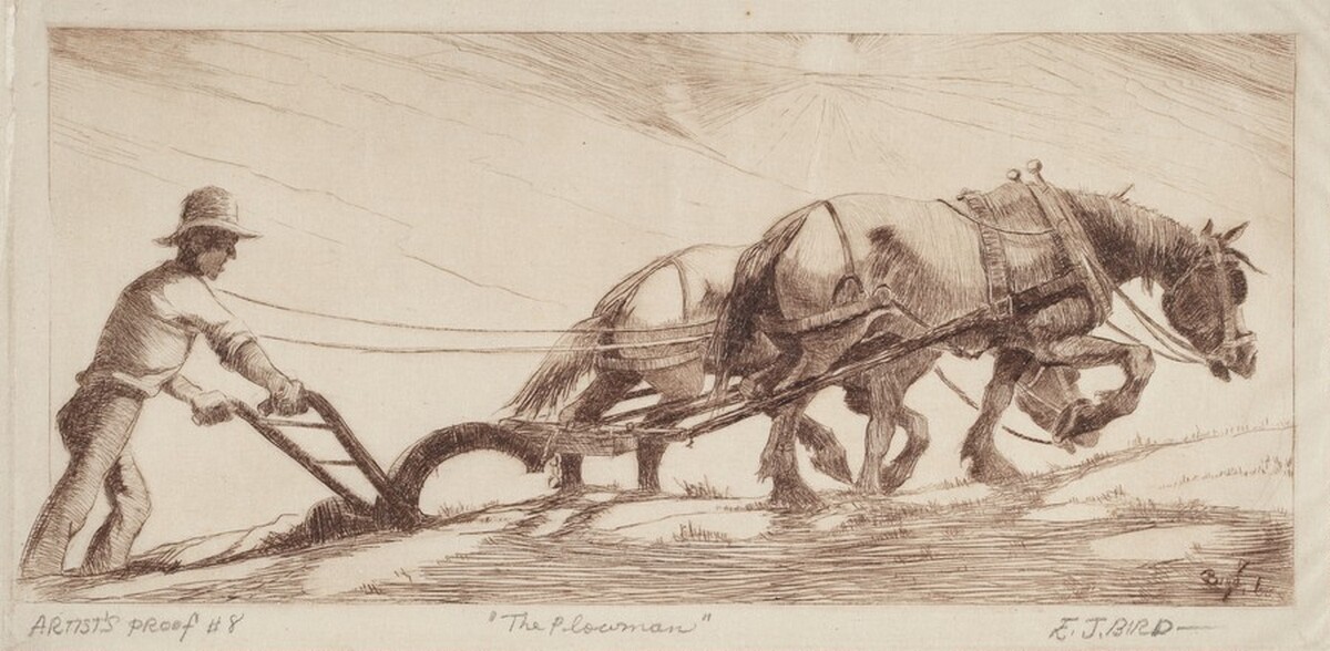 The Plowman by Elzy J. Bird