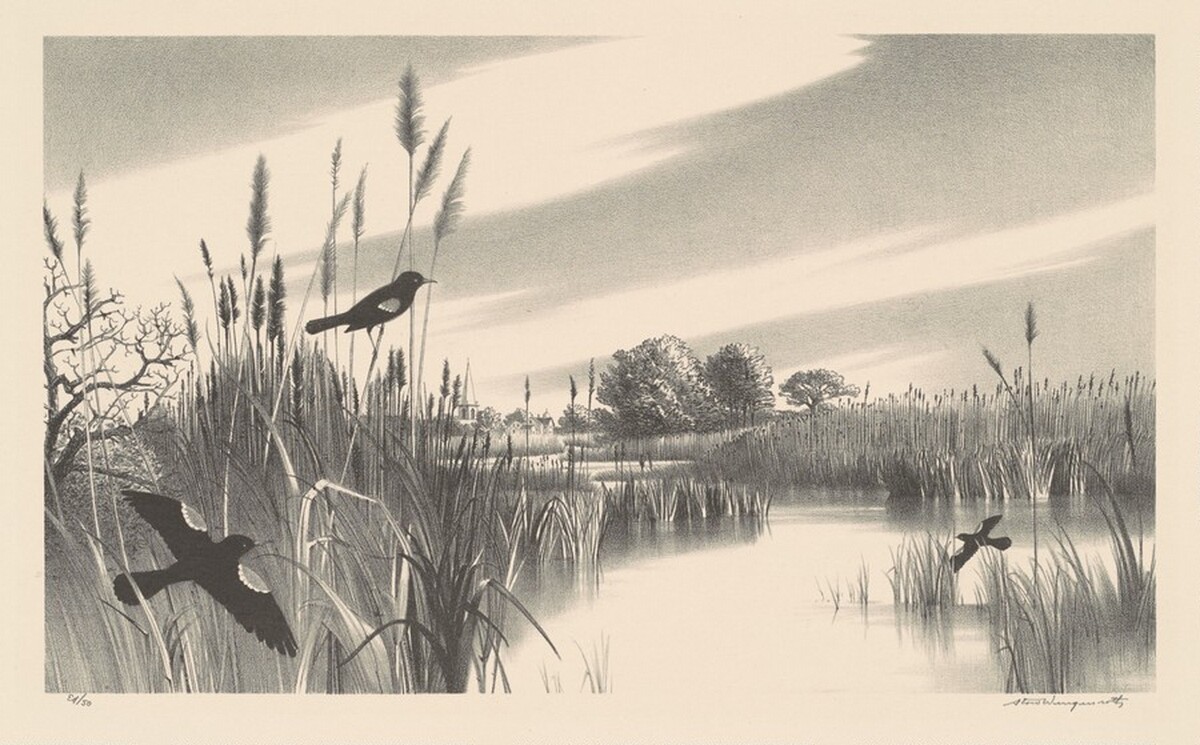Long Island Marshes by Stow Wengenroth