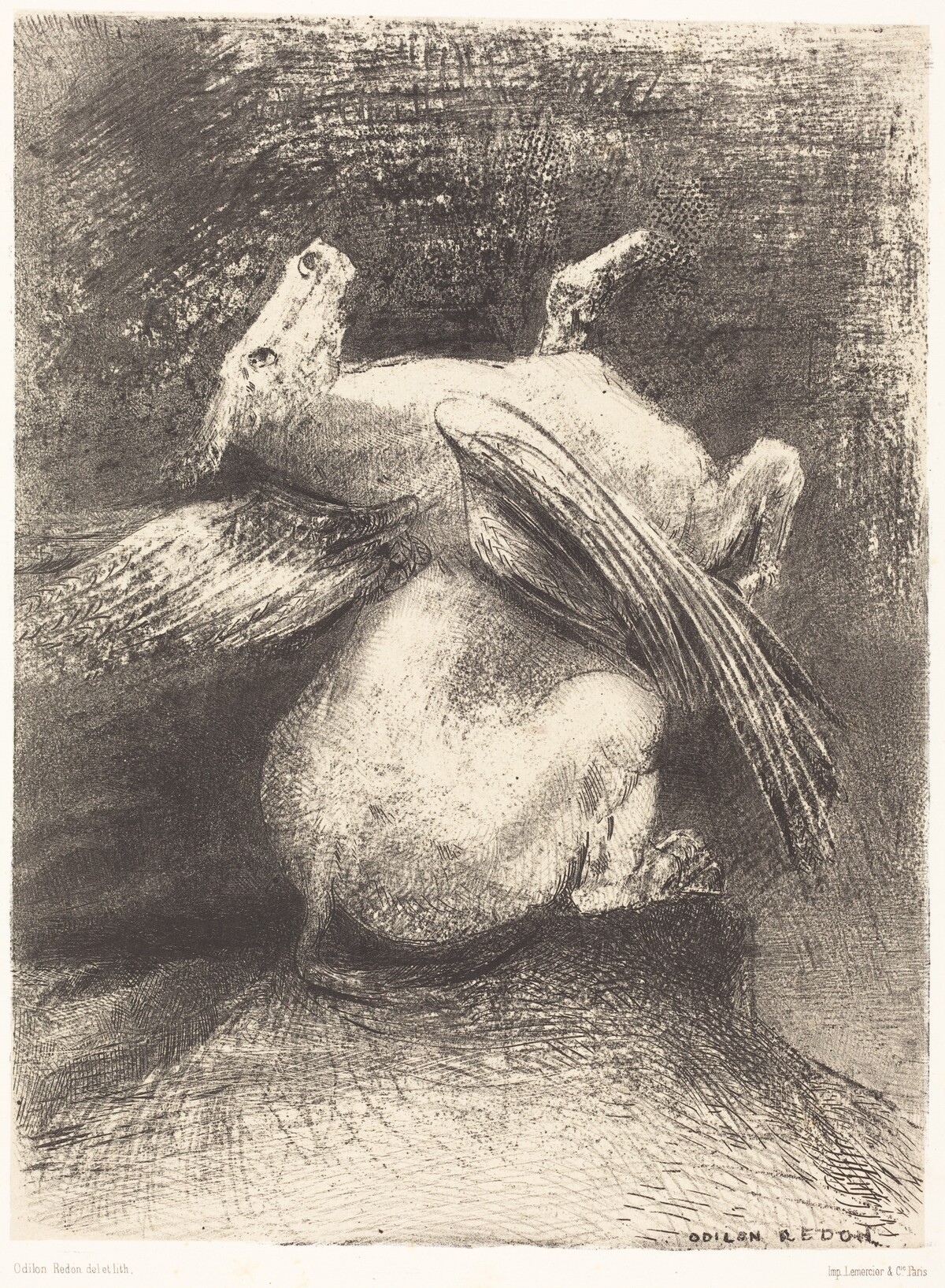 L'Aile impuissante n'eleva point la bete en ces noirs espaces (The impotent wing did not lift the animal into that black space by Odilon Redon
