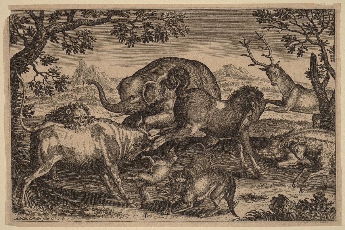 Lion, Bull, Fox, Wolf, Dog, Boar, Goat, Horse, Elephant and Deer by Adriaen Collaert