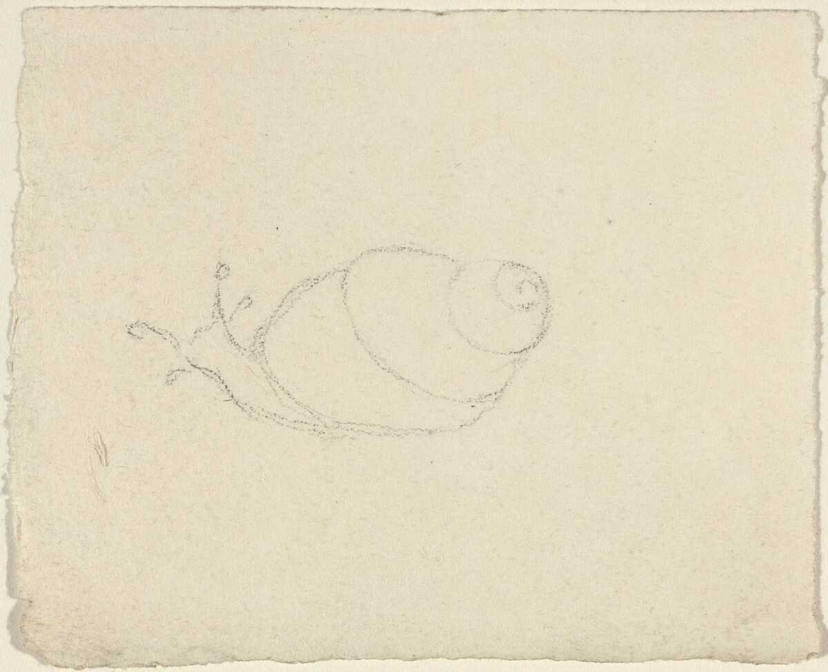 Snails [recto and verso] by John Flaxman