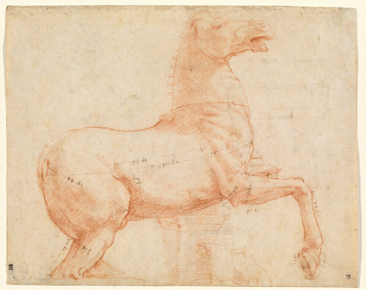 A Marble Horse on the Quirinal Hill [recto] by Raphael