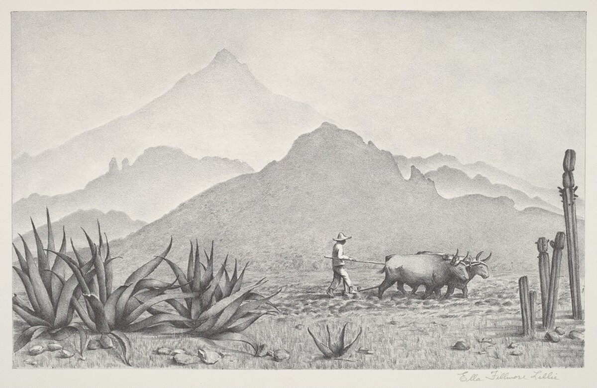 Untitled (Mexican Farmer Plowing with Team of Oxen) by Ella Fillmore Lillie