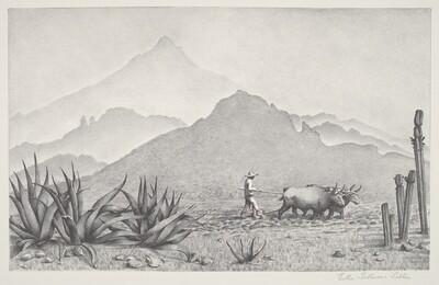 Untitled (Mexican Farmer Plowing with Team of Oxen)