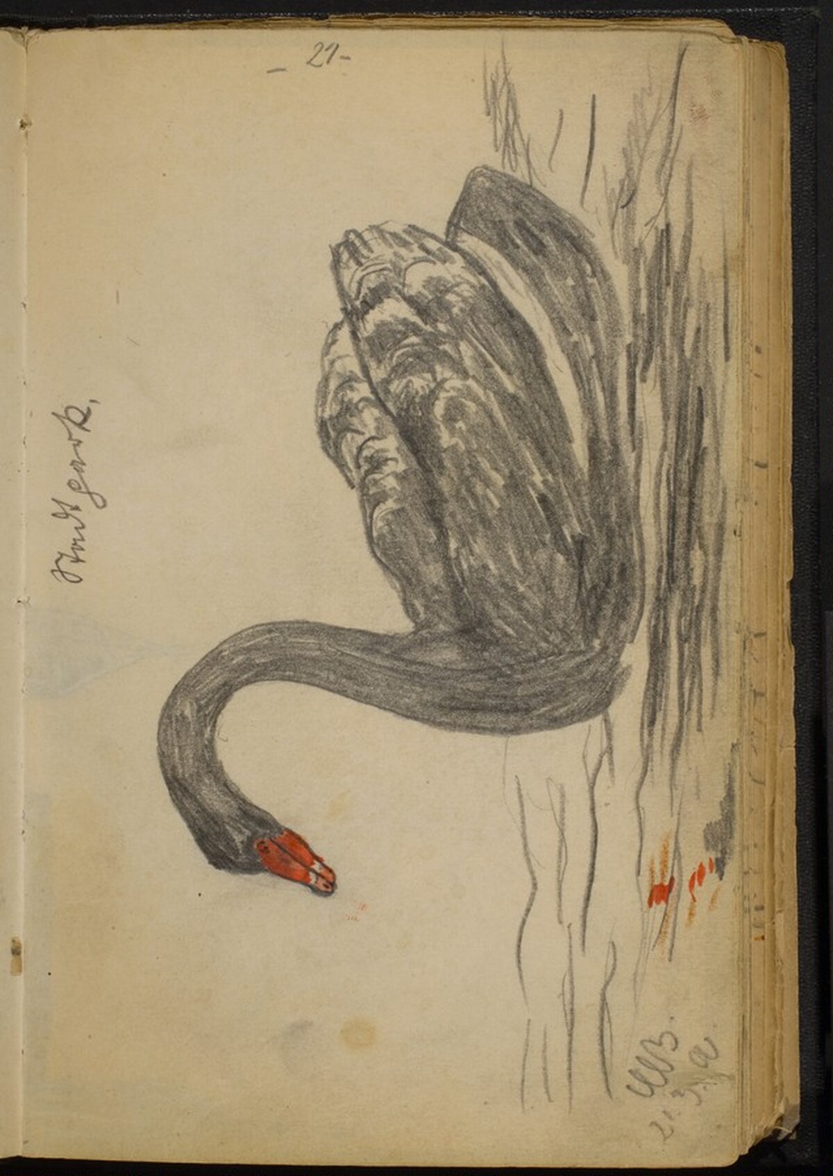 Black Swan by Max Beckmann