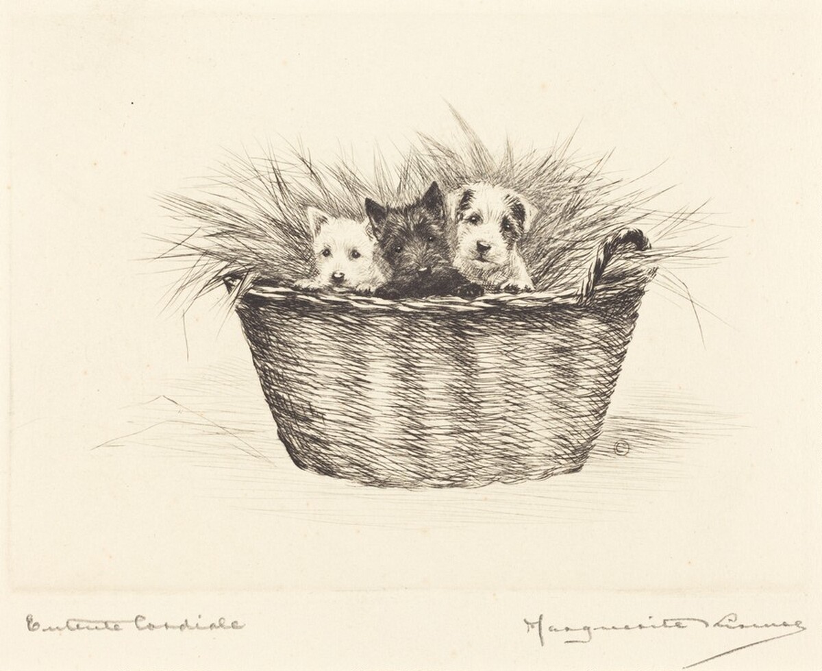 Entente cordiale by Marguerite Kirmse