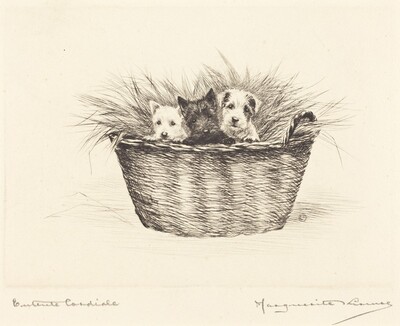 Entente cordiale