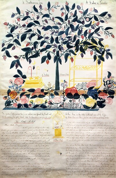 A Fruit-Bearing Tree; A Cedar of Paradise