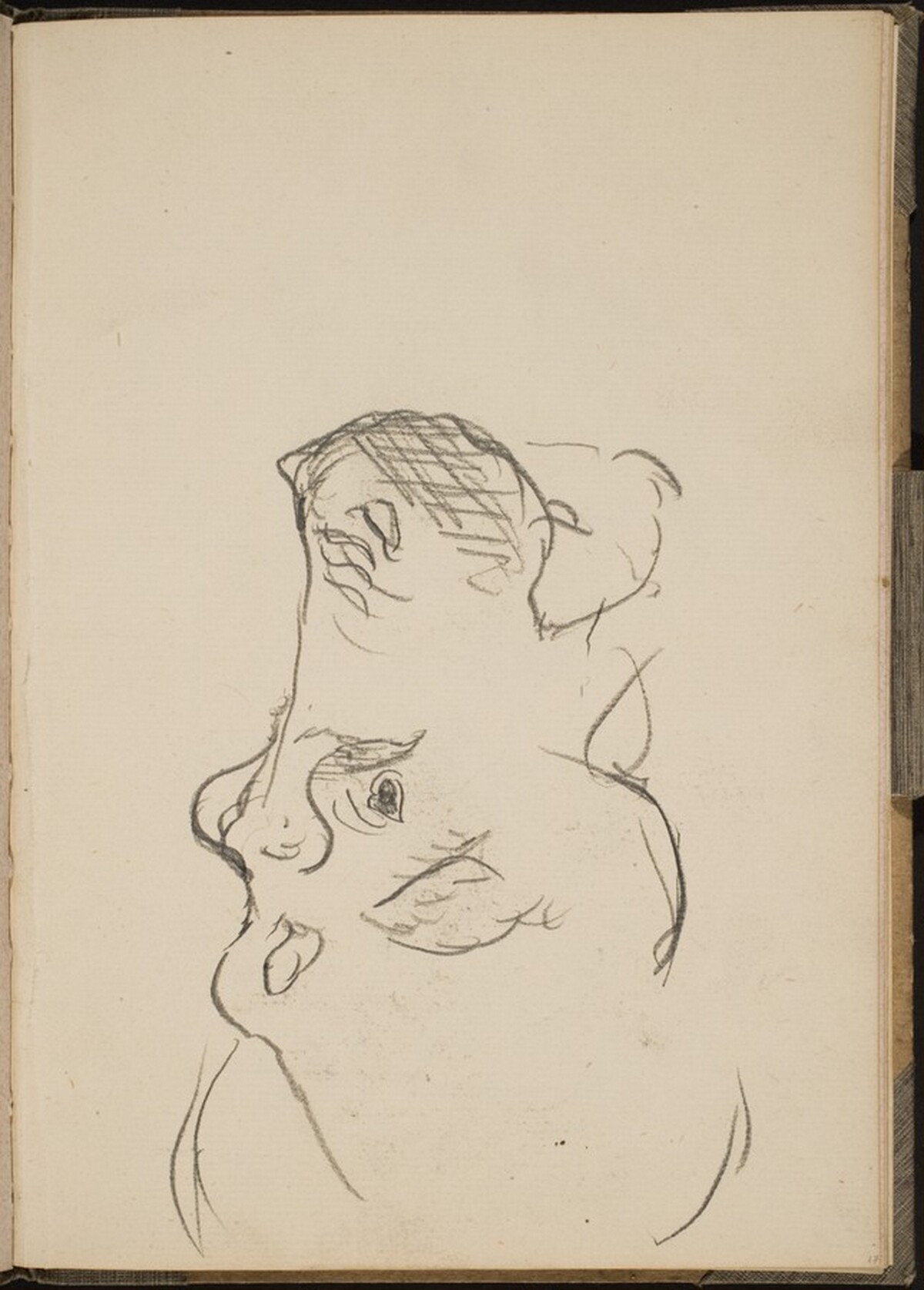 Nilpferdkopf im Profil (Hippo Head in Profile) [p. 17] by Max Beckmann