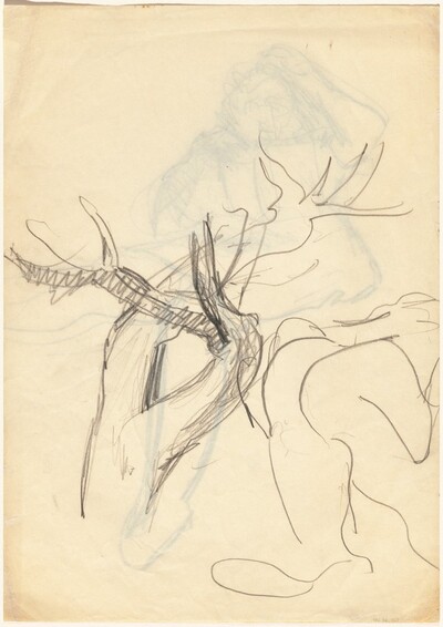 Studies of Tree Trunks and Limbs [verso]