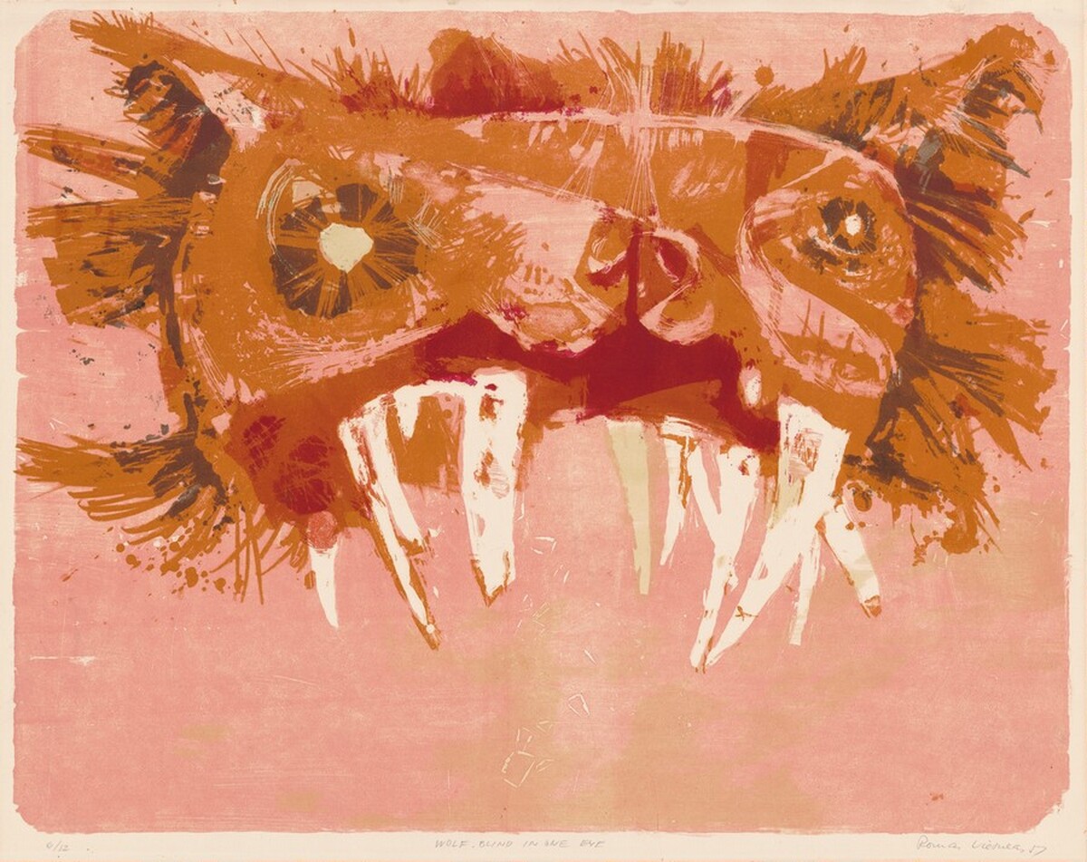 Wolf, Blind in One Eye by Romas Viesulas