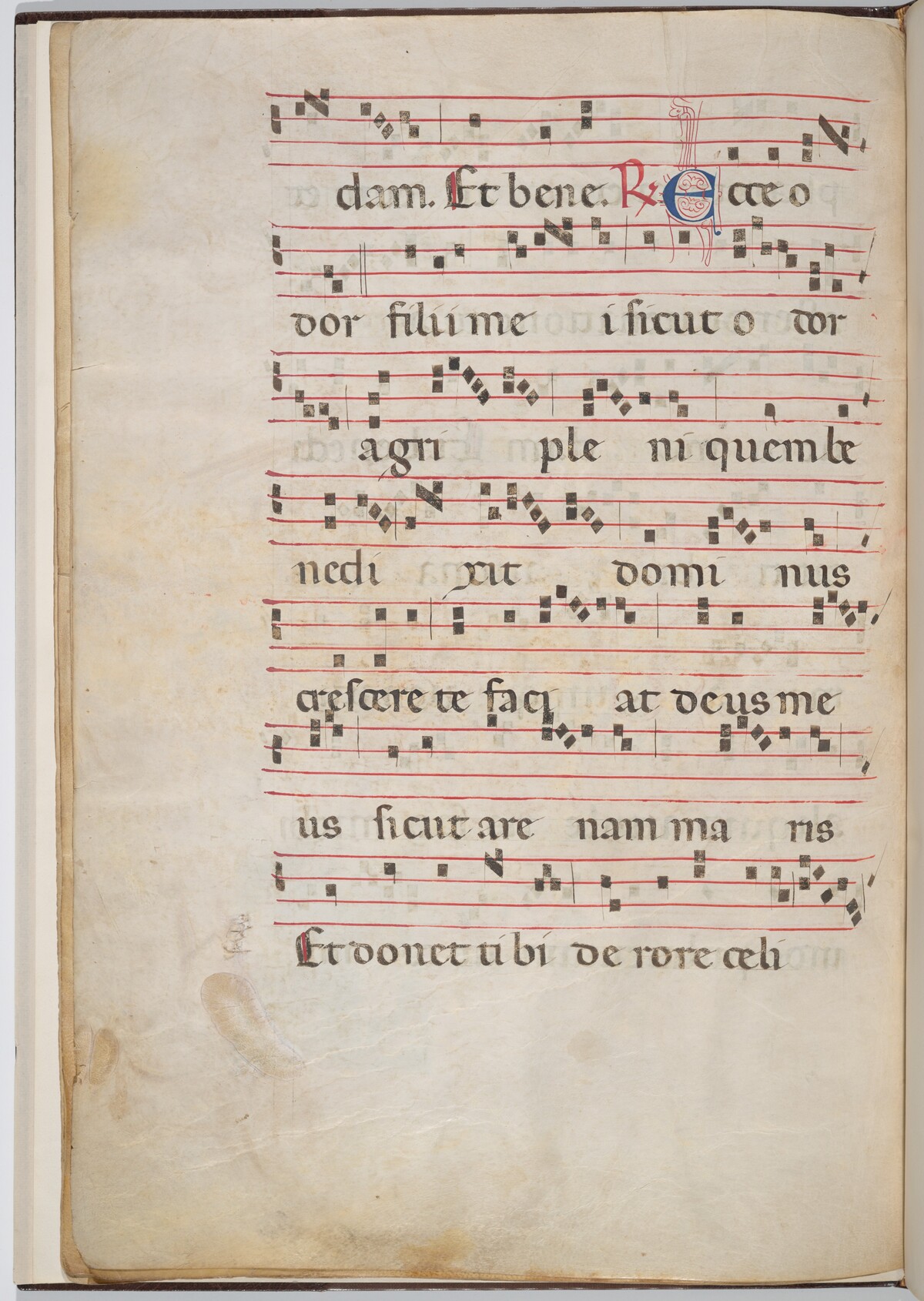Leaf 8 from an antiphonal fragment (verso) by Italian 13th Century