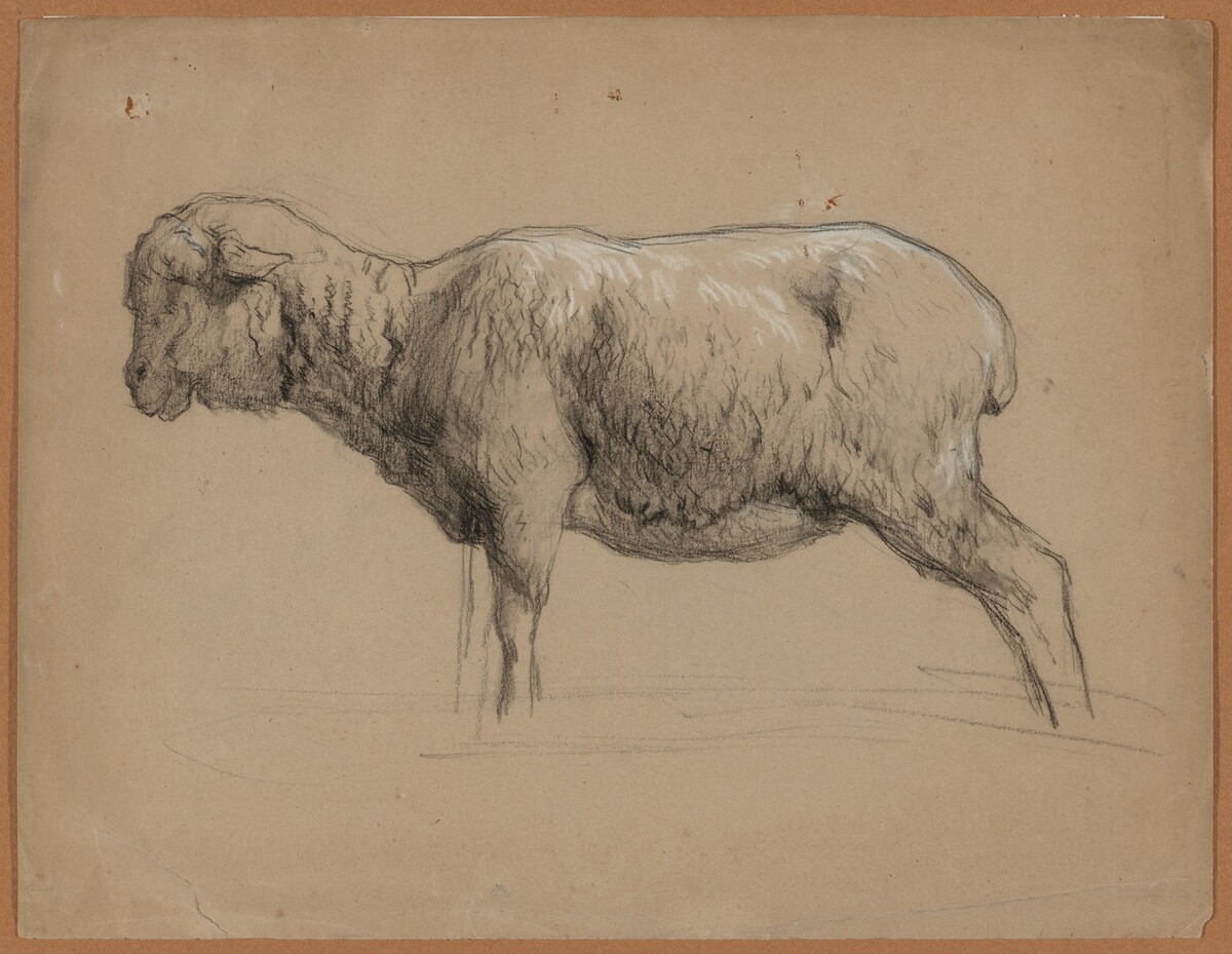 A Sheep by Jean-Ferdinand Chaigneau