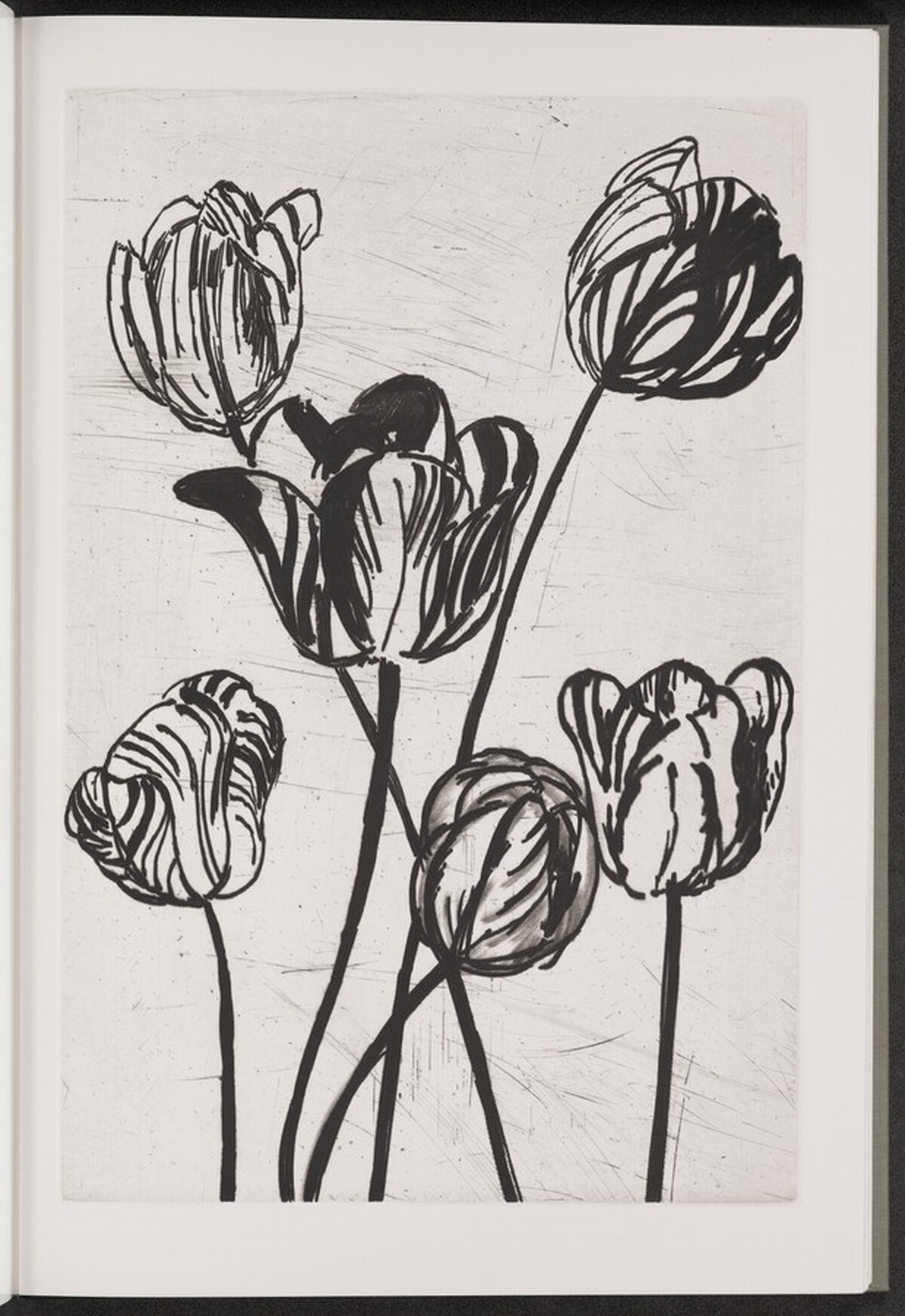 Tulip by Jim Dine