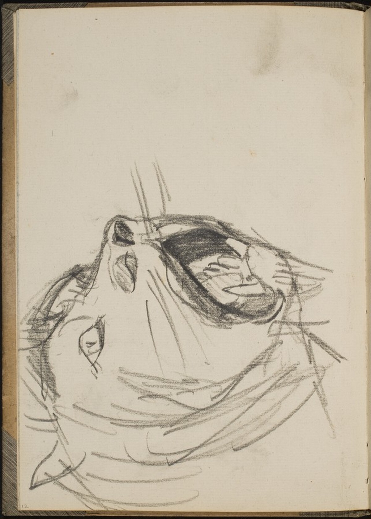 Löwe mit aufgerissenem Maul (Lion Baring Teeth) [p. 12] by Max Beckmann