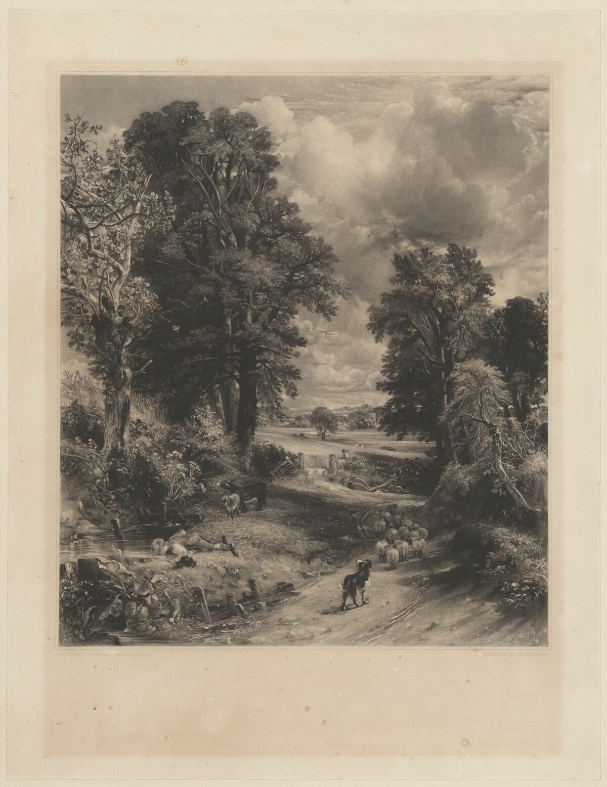 The Cornfield by David Lucas after John Constable