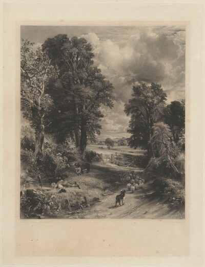 The Cornfield