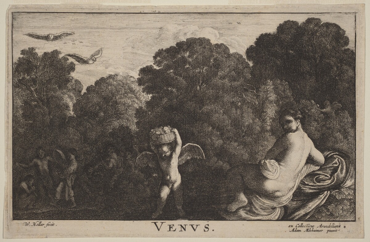 Venus by Wenceslaus Hollar (after Adam Elsheimer)