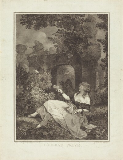 L'Oiseau privé