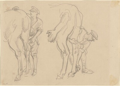 Studies for "Scots Grey"