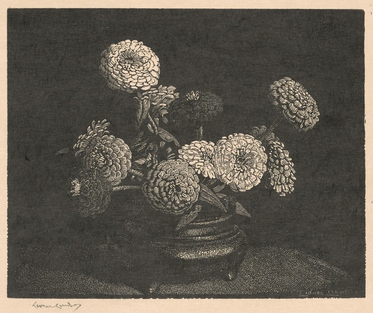 Zinnias by Lionel Lindsay