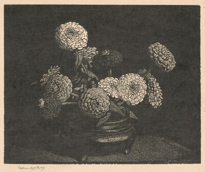 Zinnias