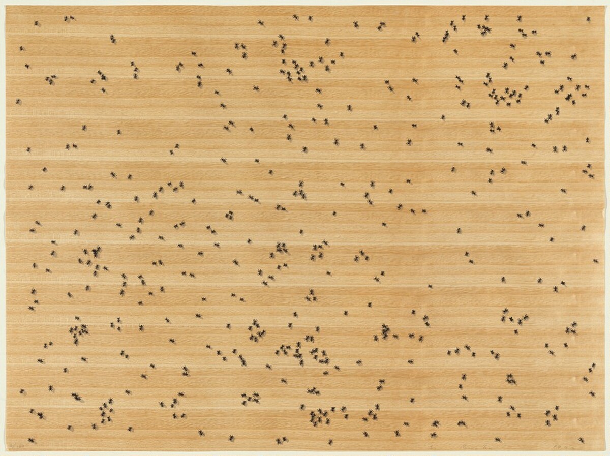 Black Ants by Ed Ruscha