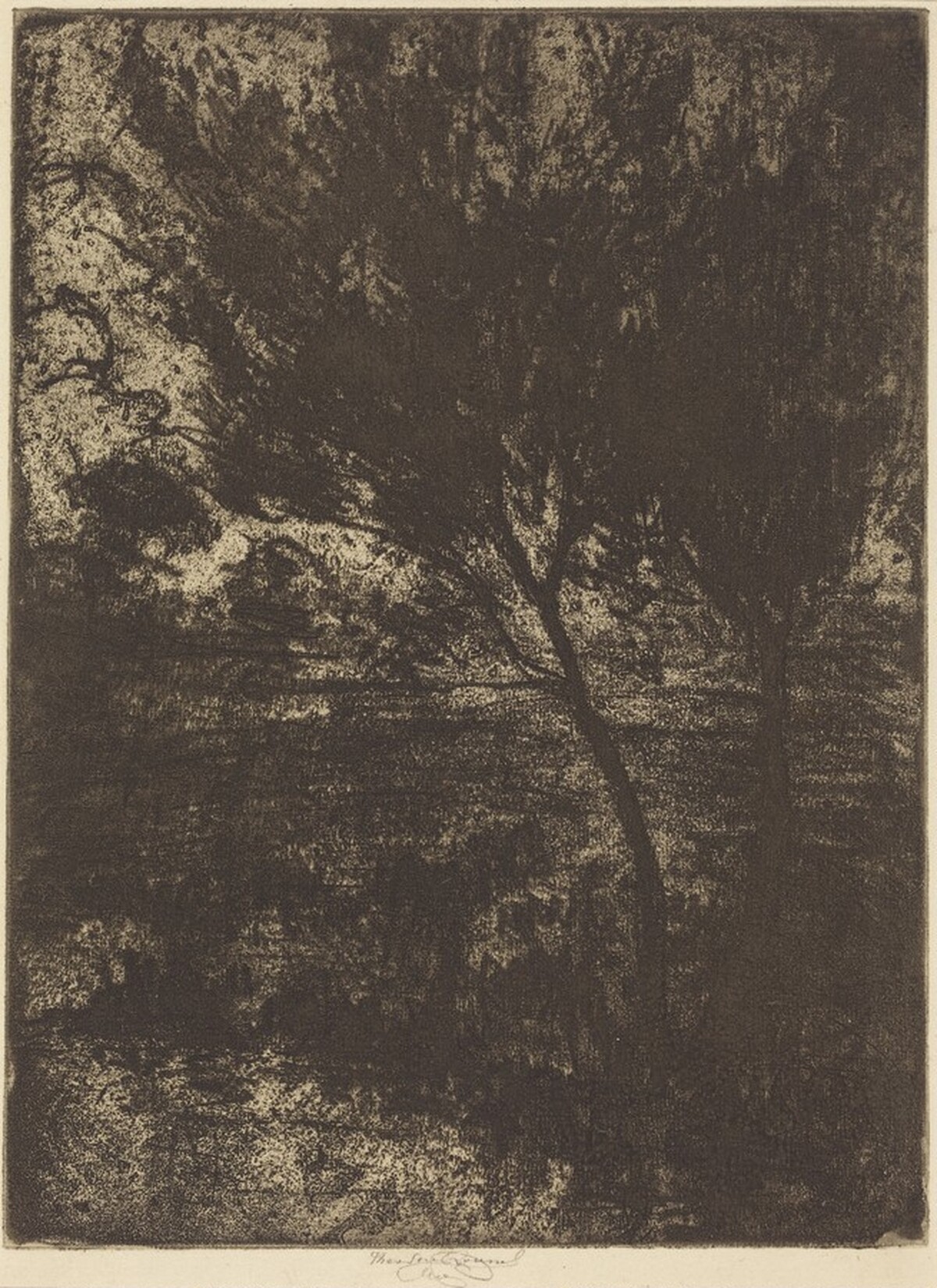 Marshlands by Théodore Roussel