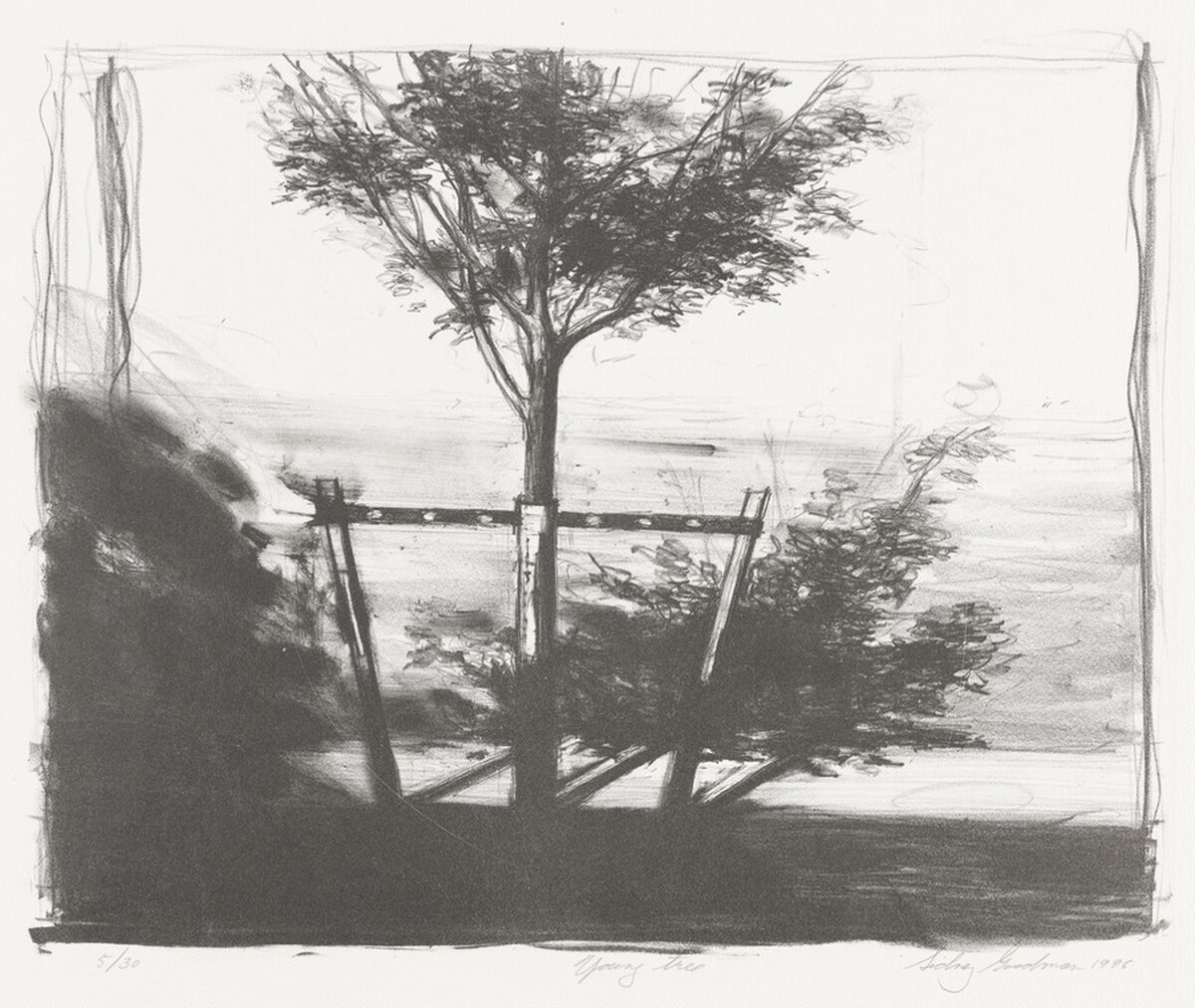 Young Tree by Sidney Goodman